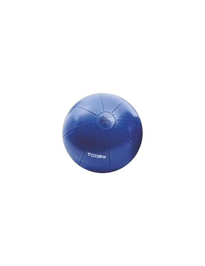 Gym Ball Pro Toorx AHF-147 ø55 cm 