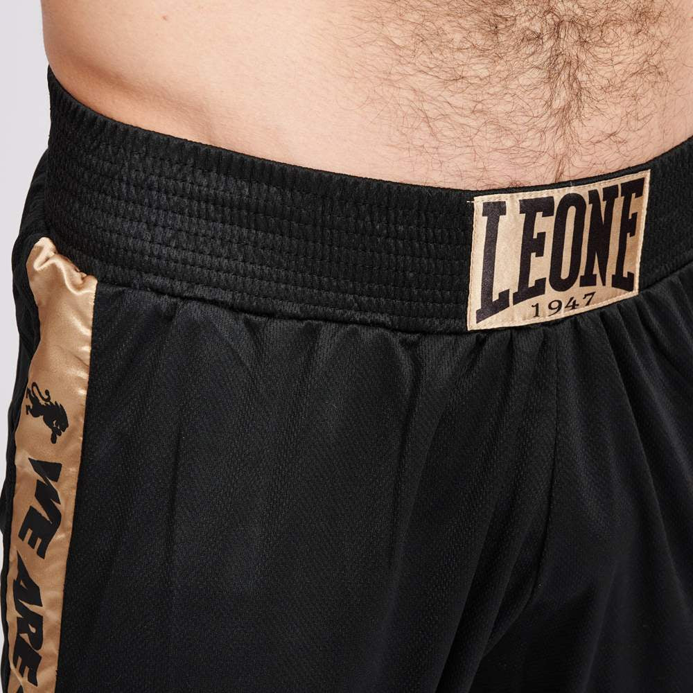 Calções de Boxe Leone DNA AB230  - Image 5