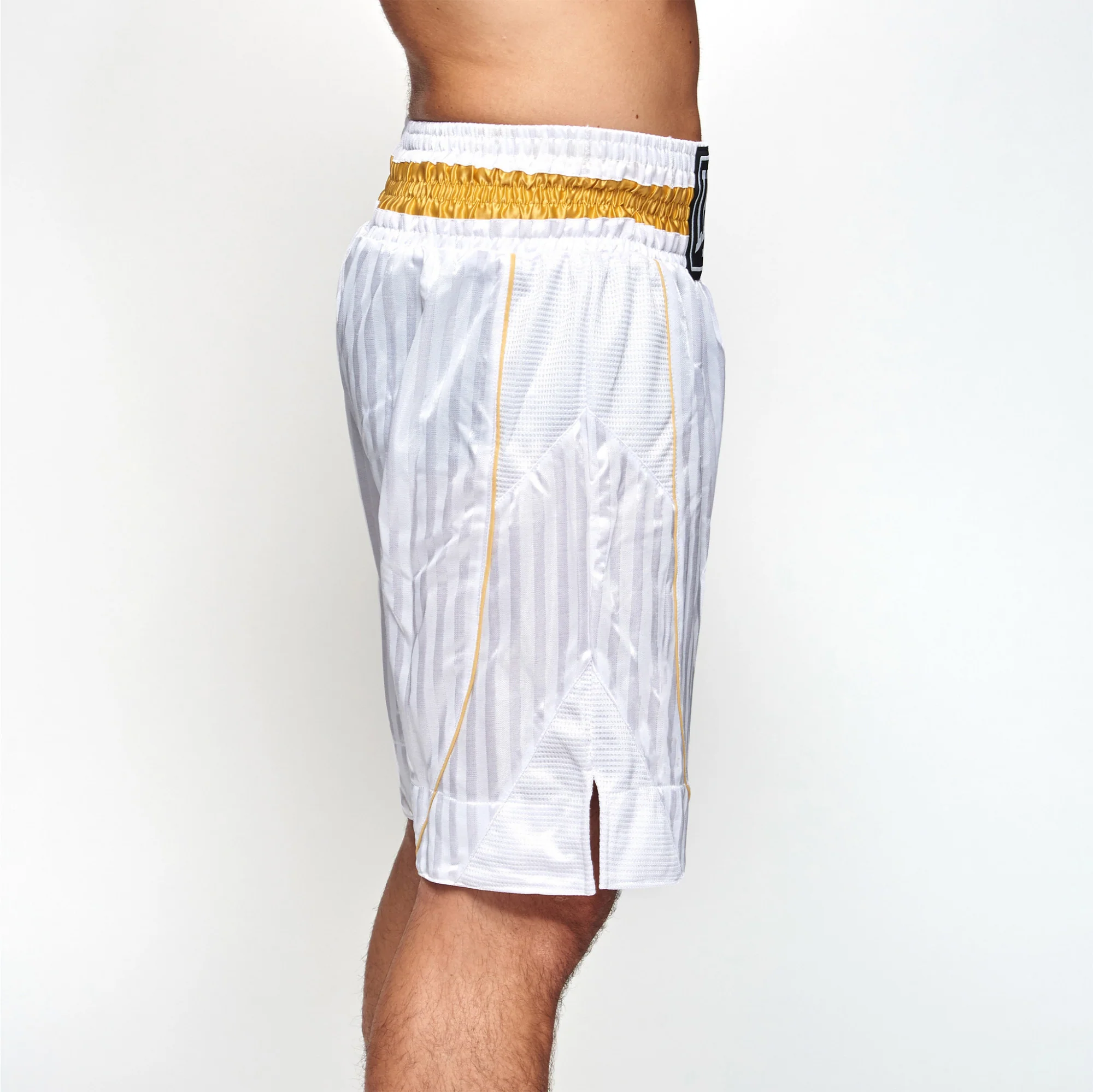 Calções de Boxe Leone Premium AB240  - Image 11