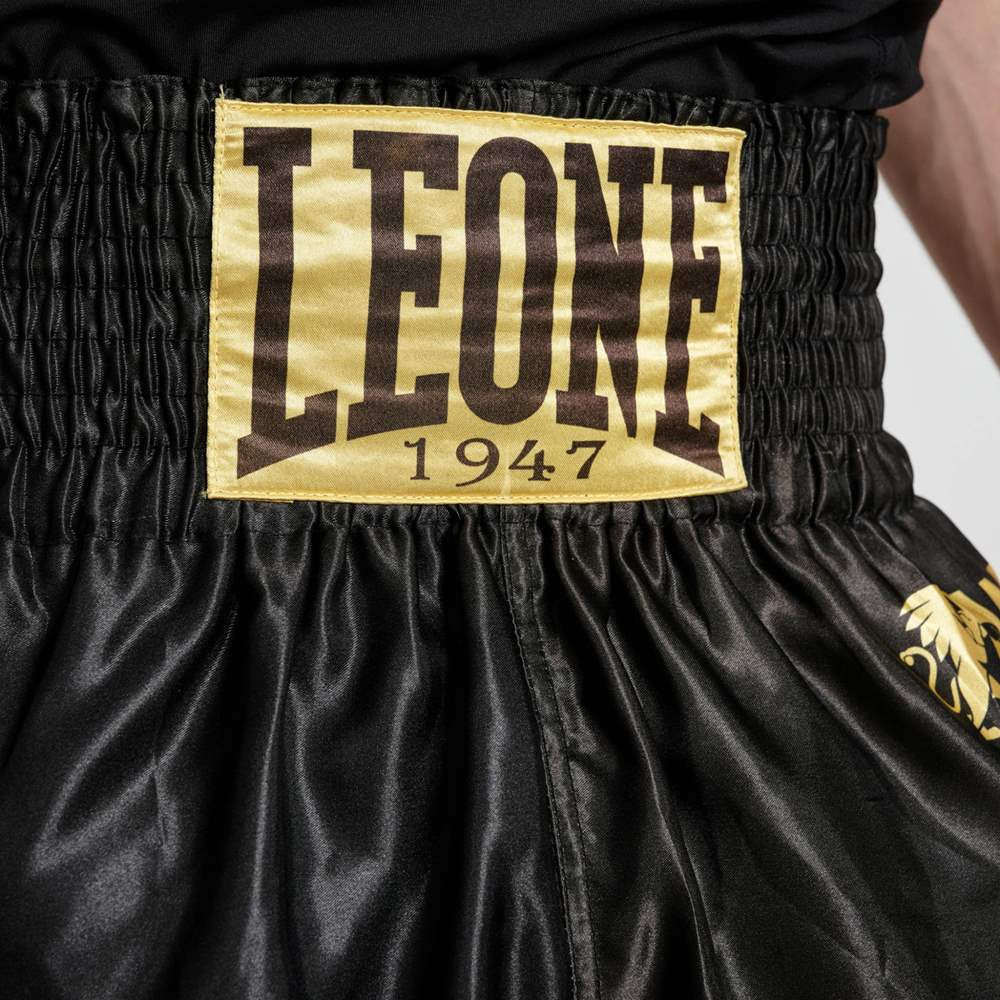 Calções de Kickboxing-Thai Leone DNA AB966  - Image 5