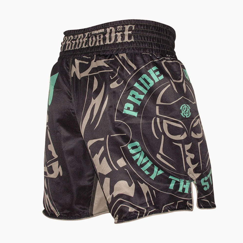 Calções de MMA Pride or Die Apenas os Fortes  - Image 4