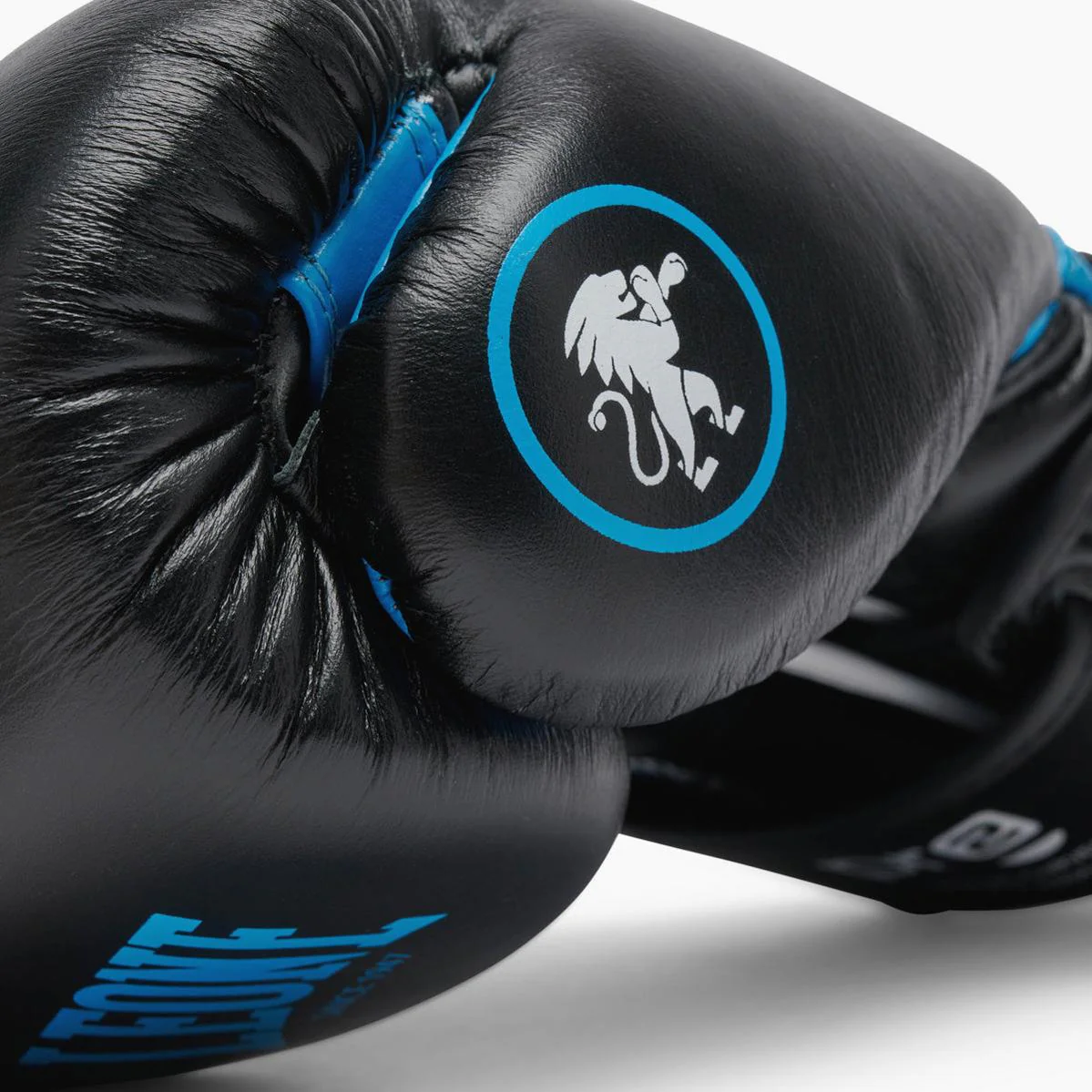 Luvas de Boxe Leone Professional 2 GN115C Azul 14 Oz  - Image 7